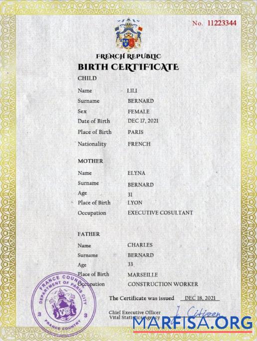 Printable France vital record birth certificate PSD template